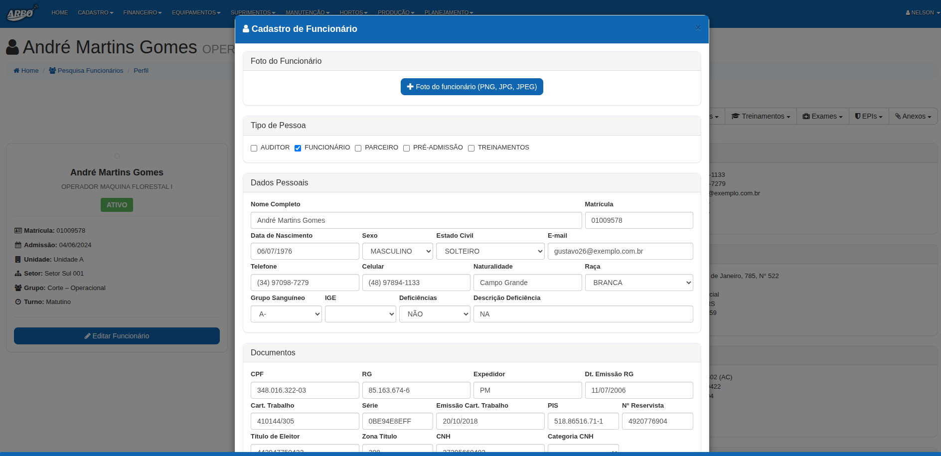 Tela do Sistema - Cadastro de Funcionário