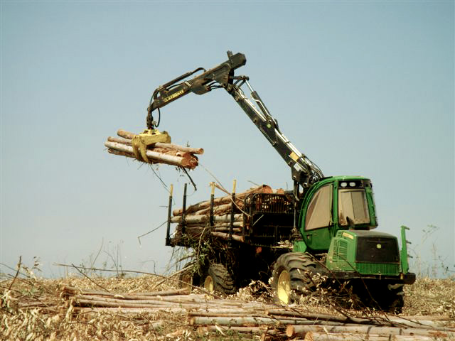 Operação Florestal