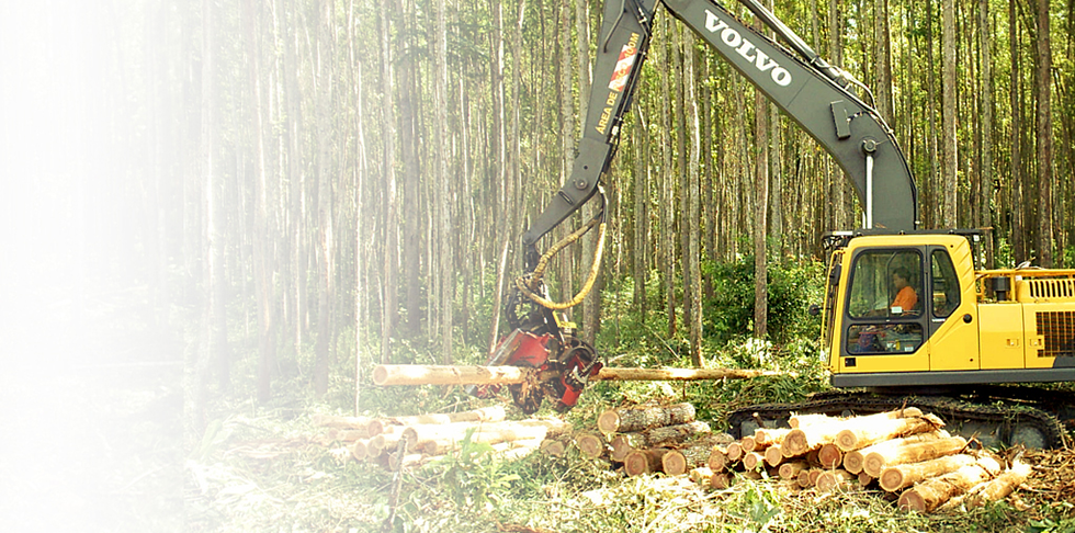 Harvester em operação