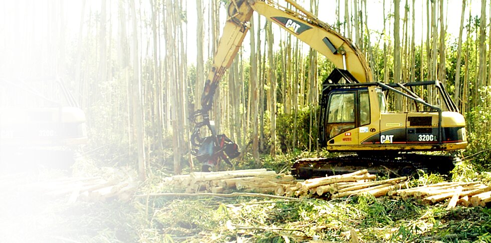 Harvester em ação durante colheita